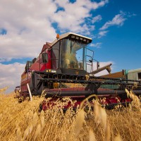Правительство выделило еще 10 млрд рублей на льготные кредиты аграриям